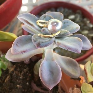 Sky blue baroque Pearl on hand hammered setting.